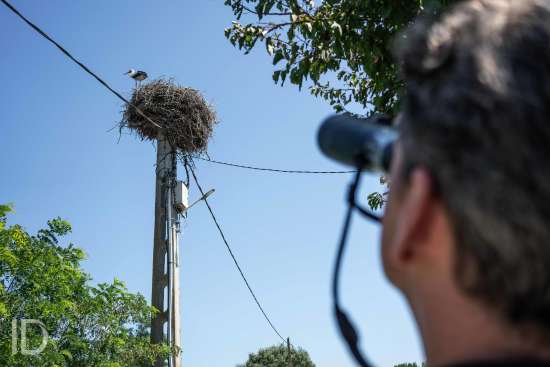 ID/ Jef Van den Bossche