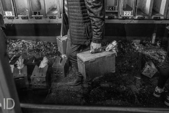 ID/ Sebastiaan Franco