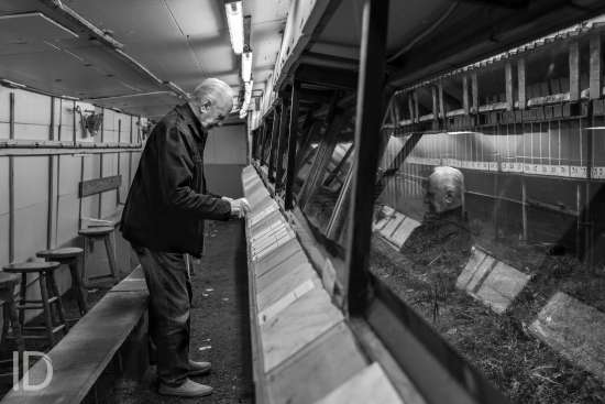 ID/ Sebastiaan Franco