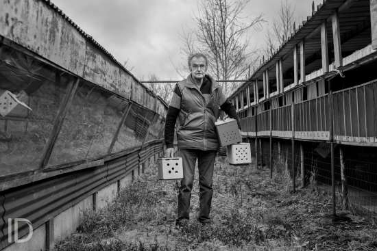 ID/ Sebastiaan Franco