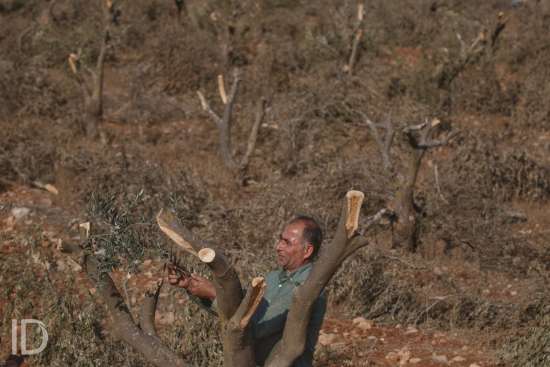 ID/ Wahaj Bani Moufleh