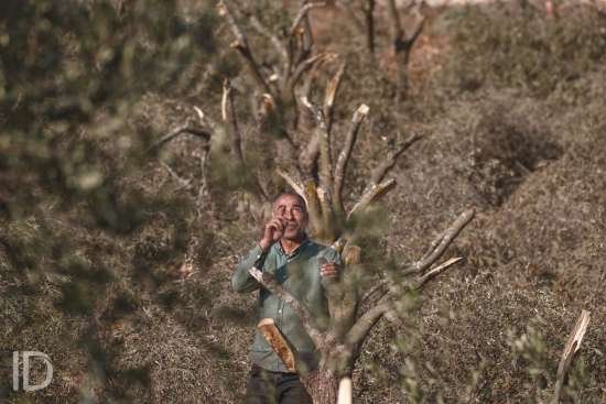 ID/ Wahaj Bani Moufleh